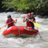 Canopy + Sarapiqui Rafting Class 2-3