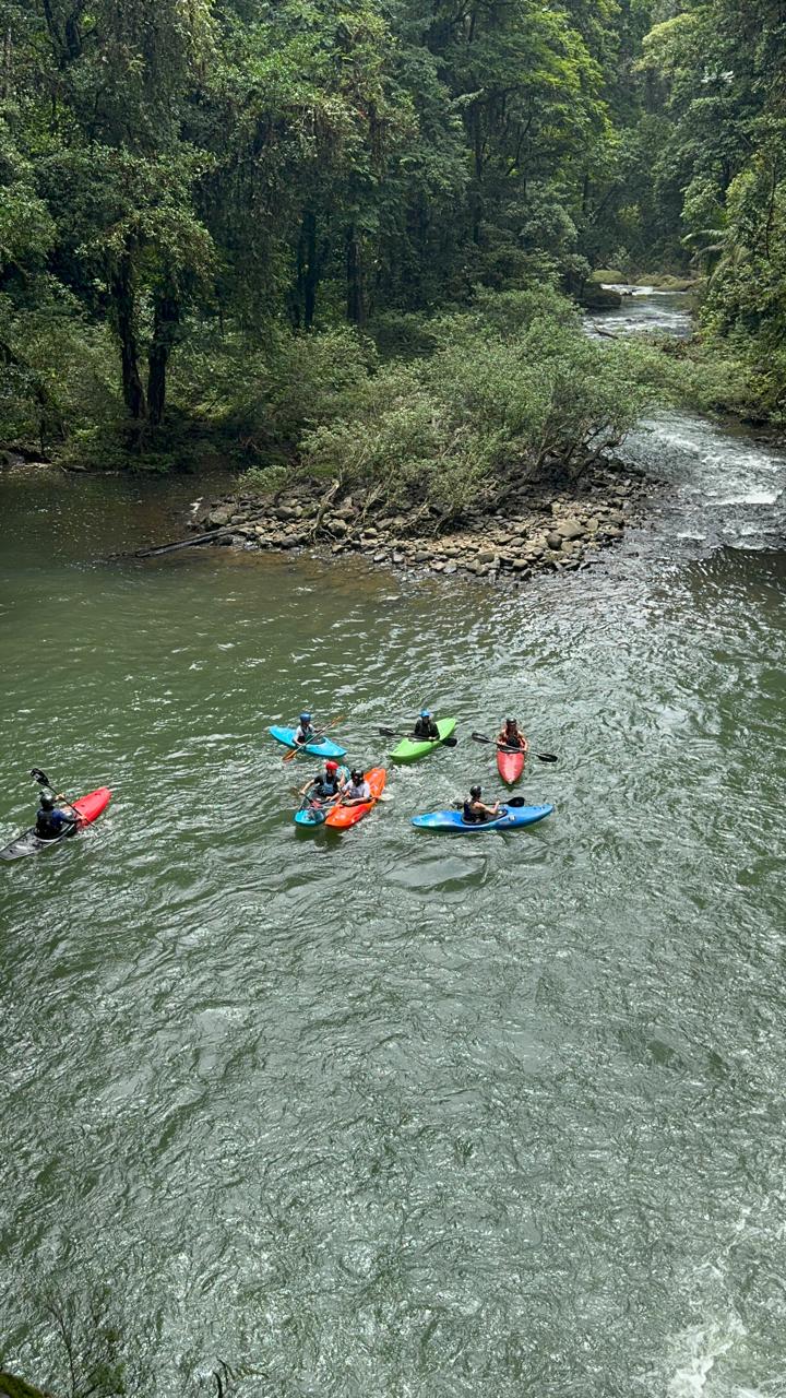 Kayakers on the river surrounded by the forest of Sarapiquí