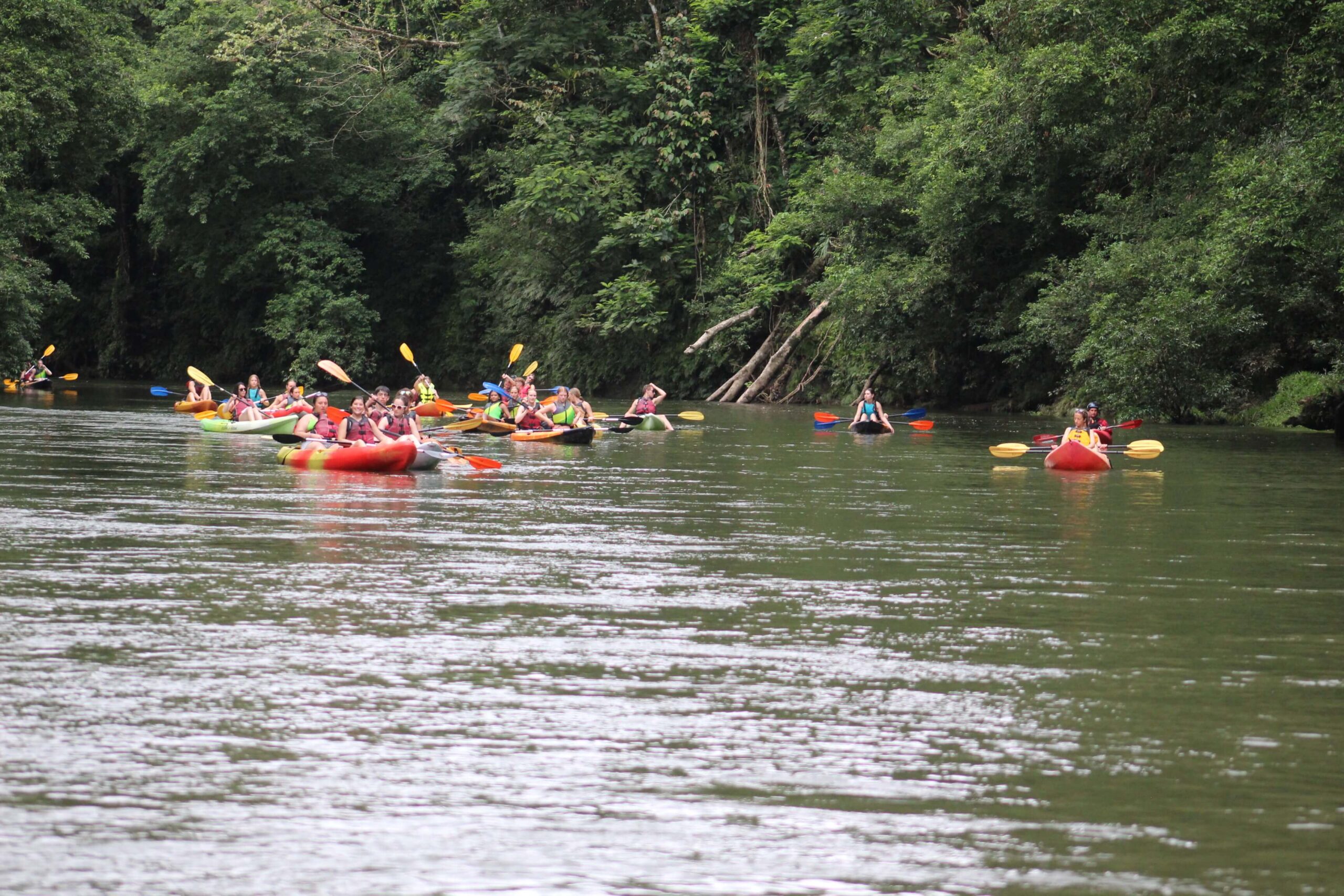 Kayaking At Puerto Viejo River - Image 2